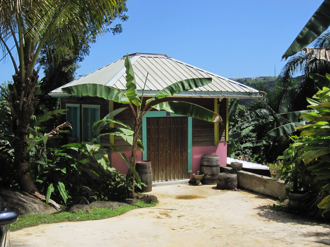 Carole's Rainforest Villas