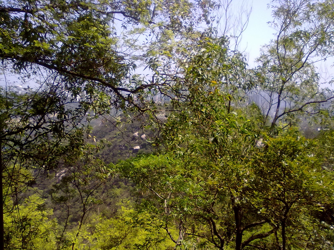 石景山公园-珠海市必去景点