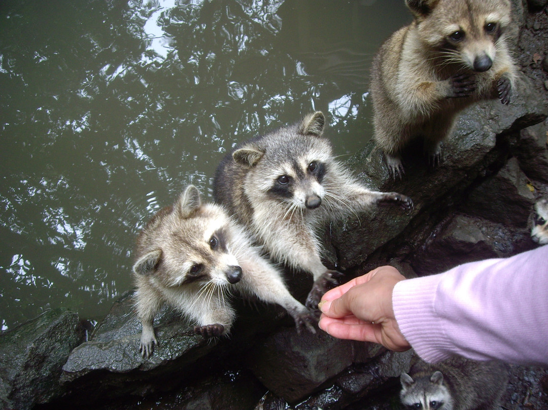 Zoo De Guadeloupe Au Parc Des Mamelles-Bouillante必去景点