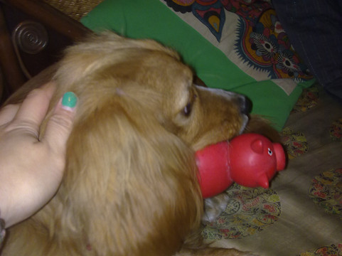 格林豪泰智选酒店(北京东城区北新桥地铁站簋街店)主图