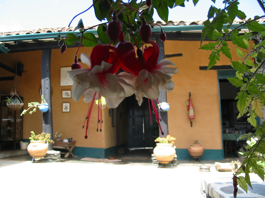 Posada Turistica Niquitao主图