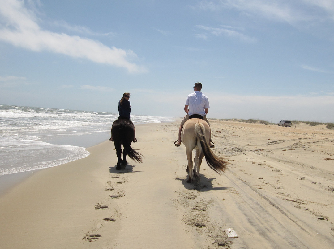 Hatteras Island Horseback Riding景点图片