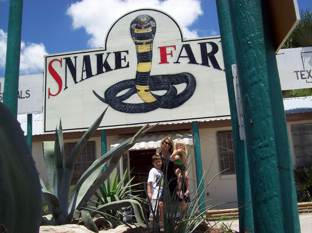 Animal World and Snake Farm Zoo-新布朗费尔斯必去景点