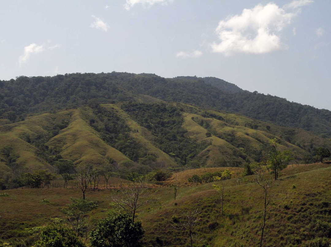 Cerro Hoya National Park景点图片