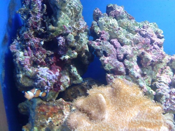 Weymouth SEA LIFE Adventure Park景点图片