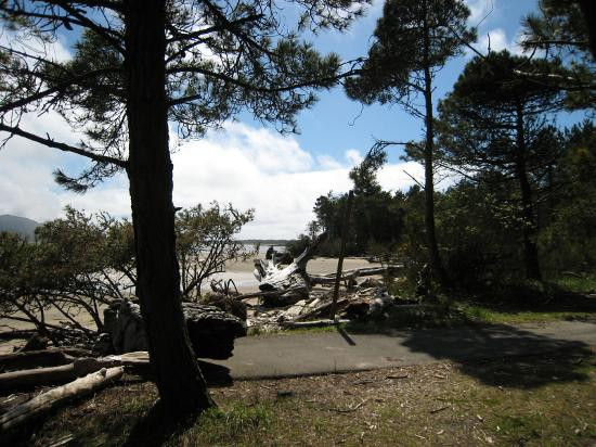 Nehalem Bay State Park-Nehalem必去景点