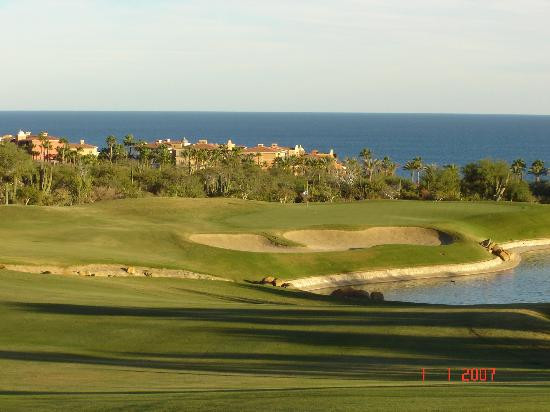 Desert Course at Cabo del Sol-洛斯卡布斯必去景点