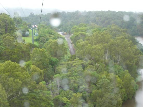 Skyrail Rainforest Cableway-Smithfield必去景点
