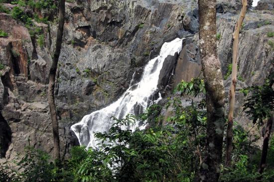 Skyrail Rainforest Cableway-Smithfield必去景点