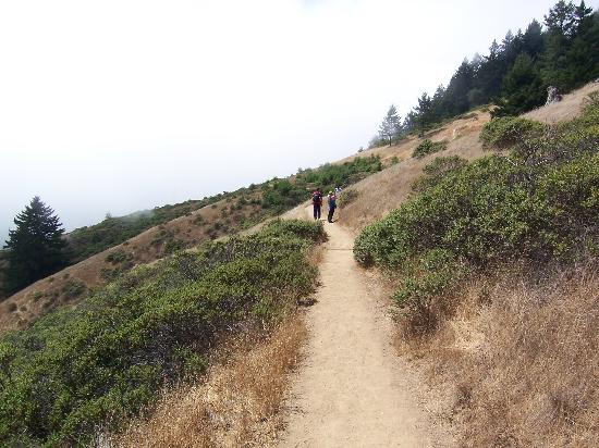 Mount Tamalpais State Park景点图片