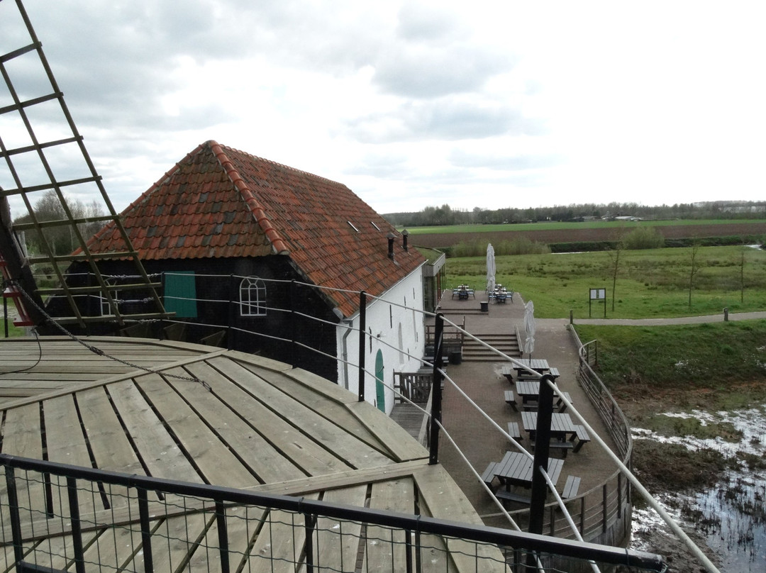 Heeswijk-Dinther旅游攻略图片