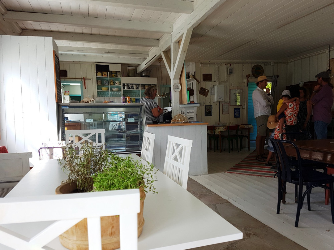 Medusas Badcafe