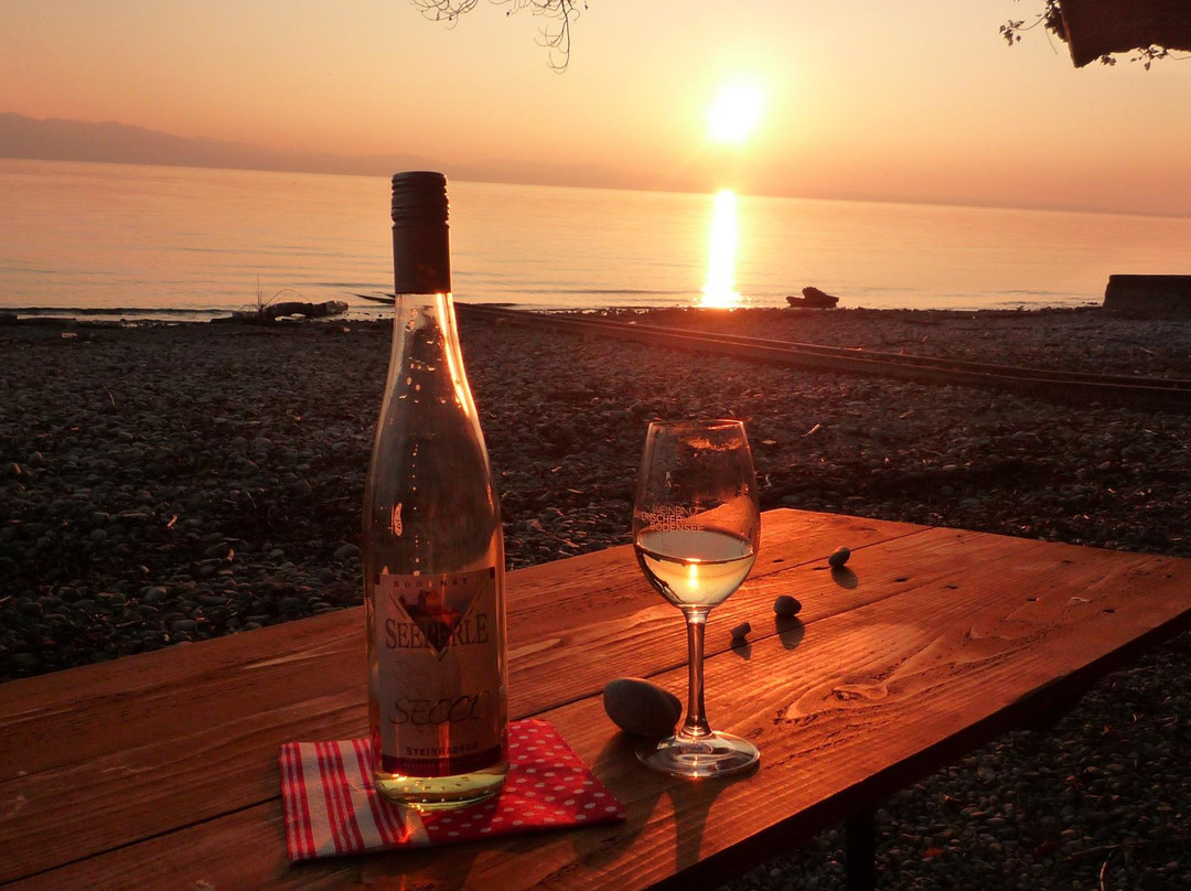 Nonnenhorn酒店住宿-Landhaus Hornstein