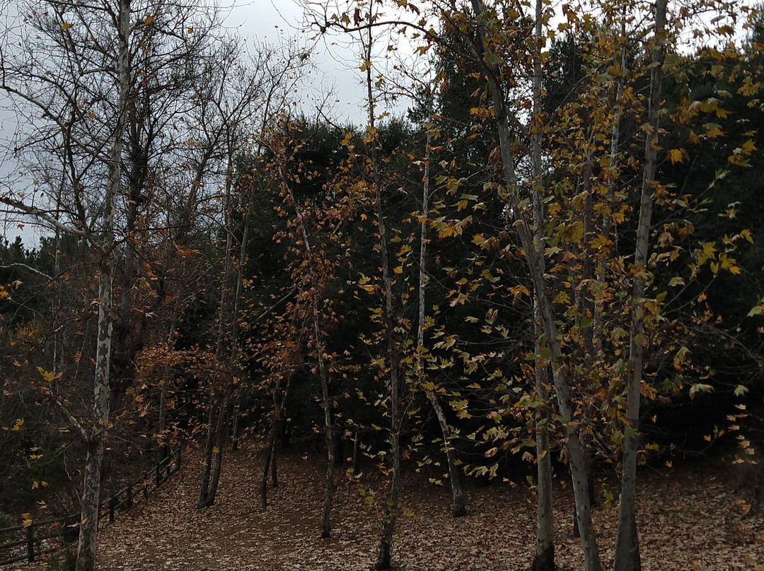 Oso Creek Trail-米逊维耶荷必去景点
