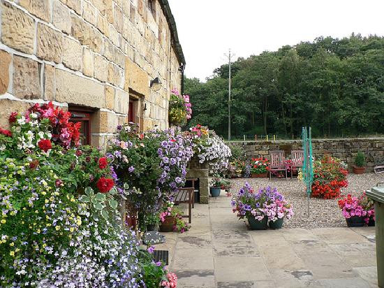 Lealholm旅游攻略图片