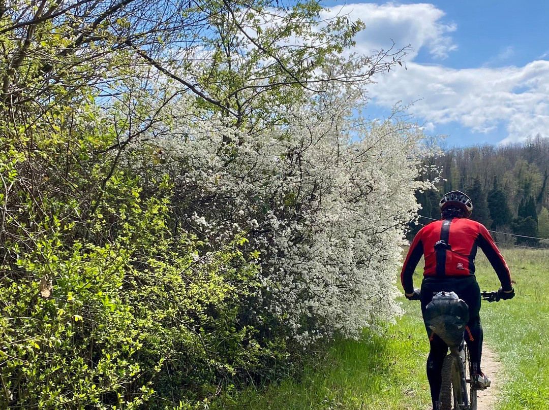Jesi Bike Tours-杰西必去景点