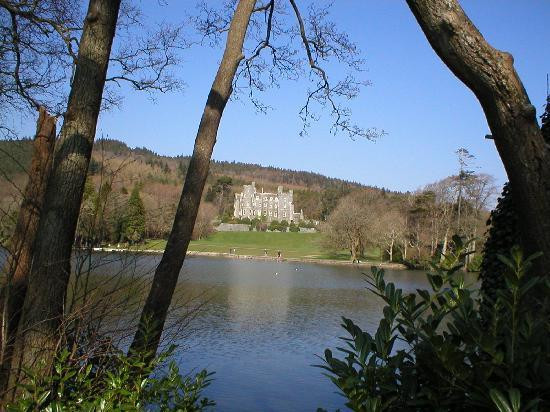Castlewellan Forest Park景点图片