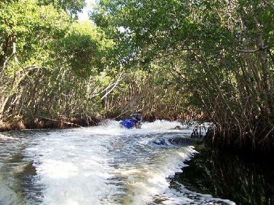 Capt. Ron's Awesome Everglades Adventures-马可岛必去景点