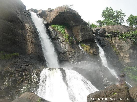 Athirappilly Waterfalls景点图片