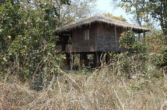 Pench Tiger Reserve景点图片