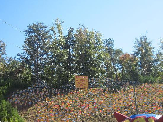 Pig Hill of Fame景点图片