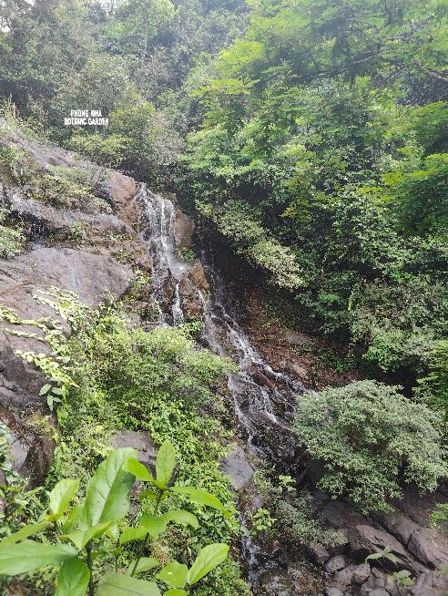 Wildlife And Jungle Adventure - Ecofoot景点图片