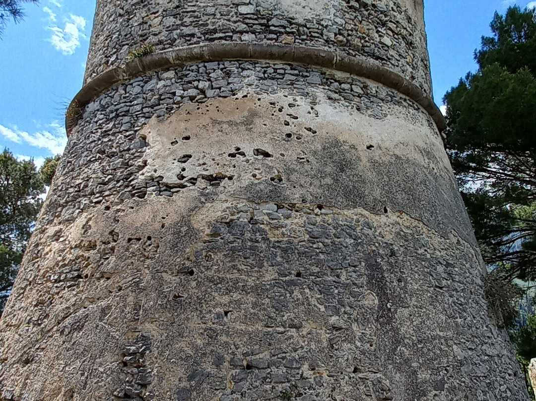 Torre dello Ziro景点图片