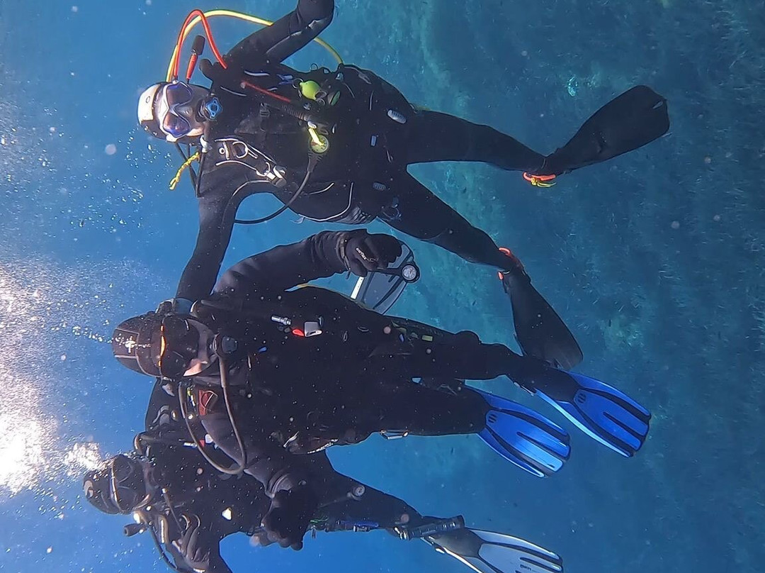 Mister Jump Diving Ustica-Ustica必去景点