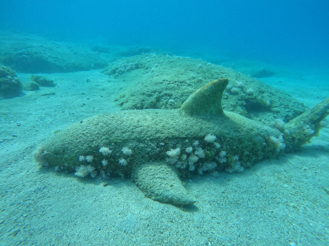 Naturablue Diving Center-卡斯必去景点
