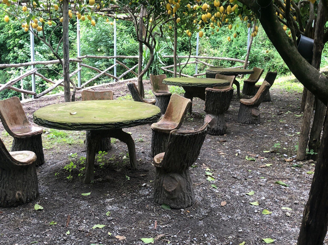 Amalfi Lemon-阿马尔菲必去景点