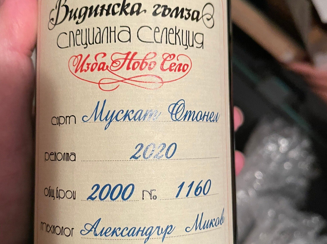 Tempus Vini Wine Point-索非亚必去景点