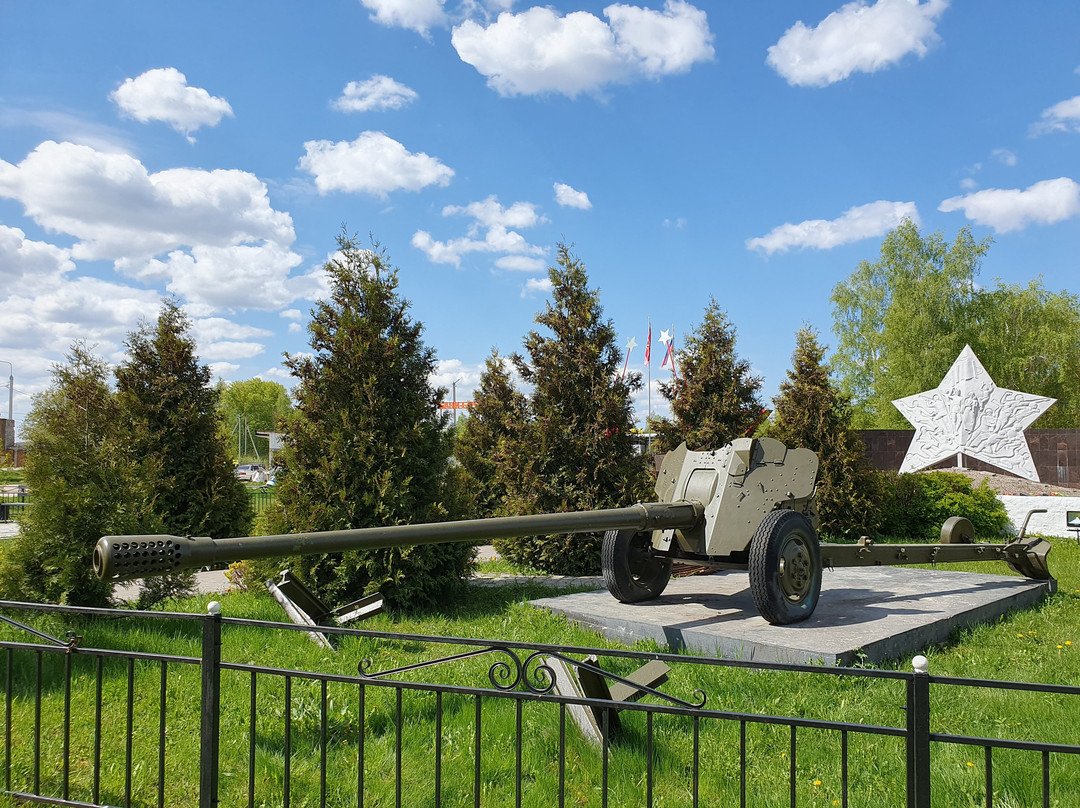85 mm Anti-Tank Gun D-48景点图片