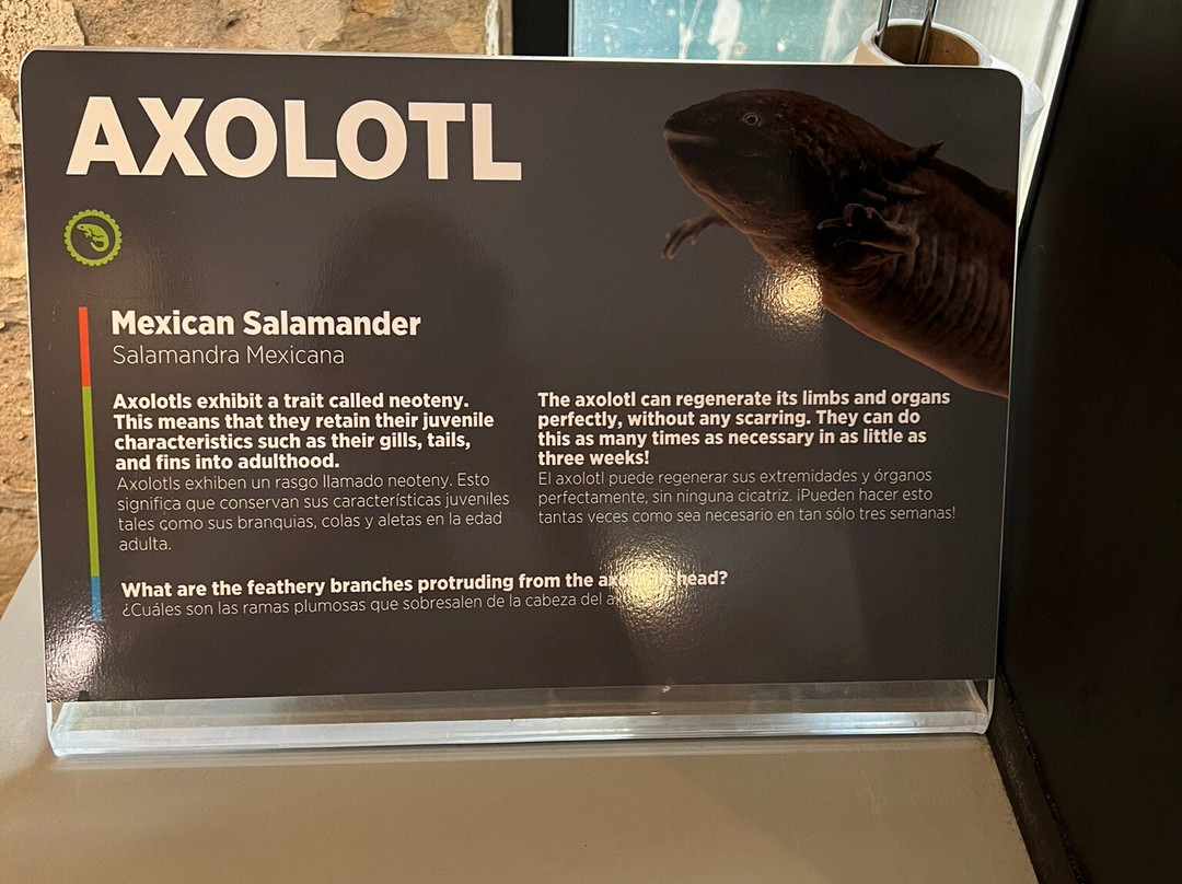 Science Mill-Johnson City必去景点