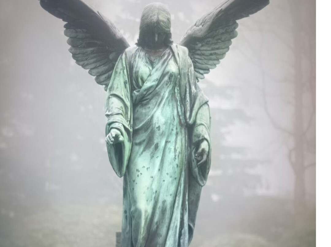 Ohlsdorf Cemetery-汉堡必去景点