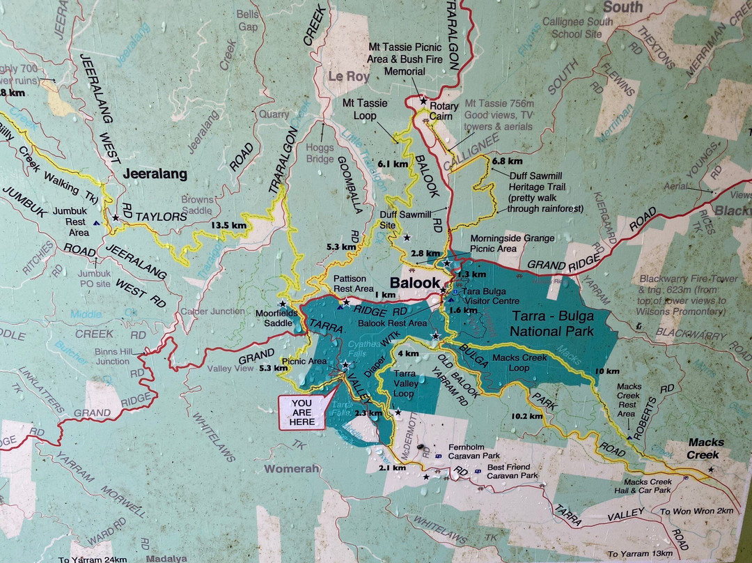Cyathea Falls-Tarra Valley必去景点