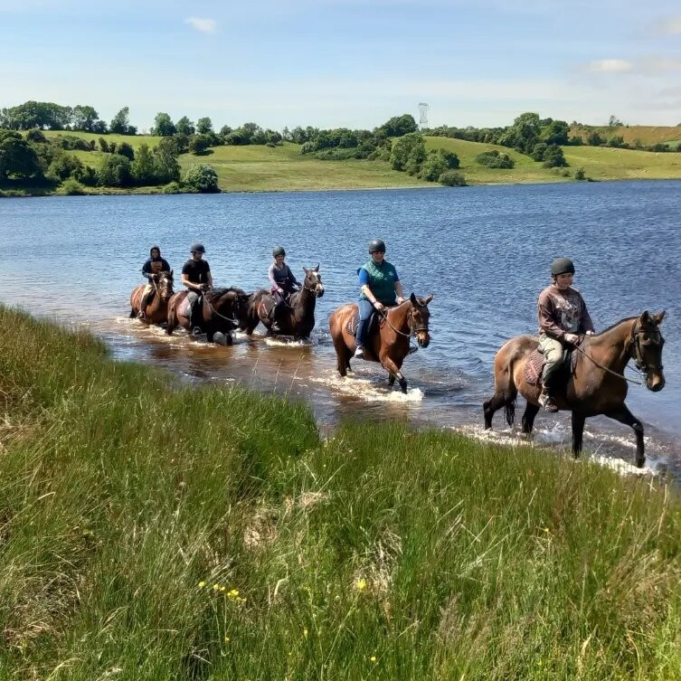 Hollywood Horse and Pony Trekking-Wicklow必去景点
