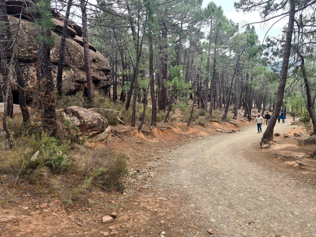 Pinares del Rodeno景点图片