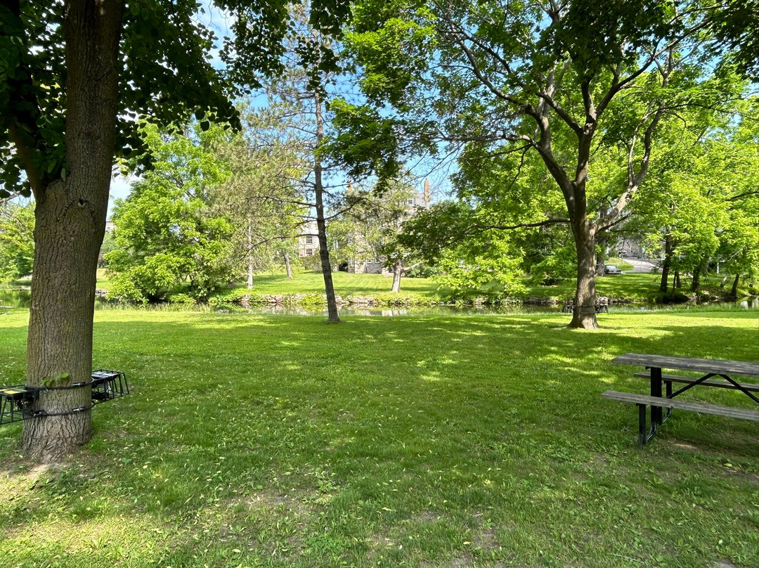 Stewart Park景点图片
