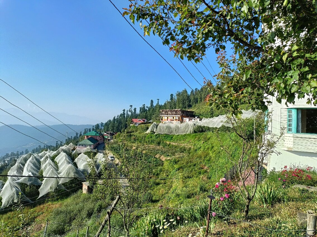 The Apple Blossom主图