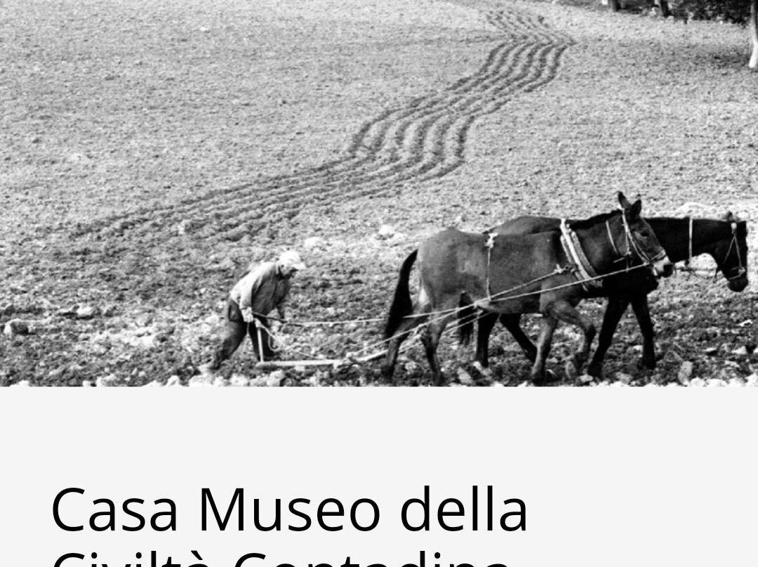 Mueso della Cultura e Civiltà Contadina景点图片