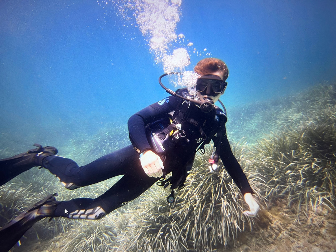 MDS My Diving School-卡拉多尔必去景点