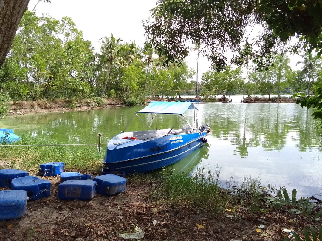 Adhithiyaa boating - Kayak adventure-提卢湾安塔普兰（特里凡德伦）必去景点
