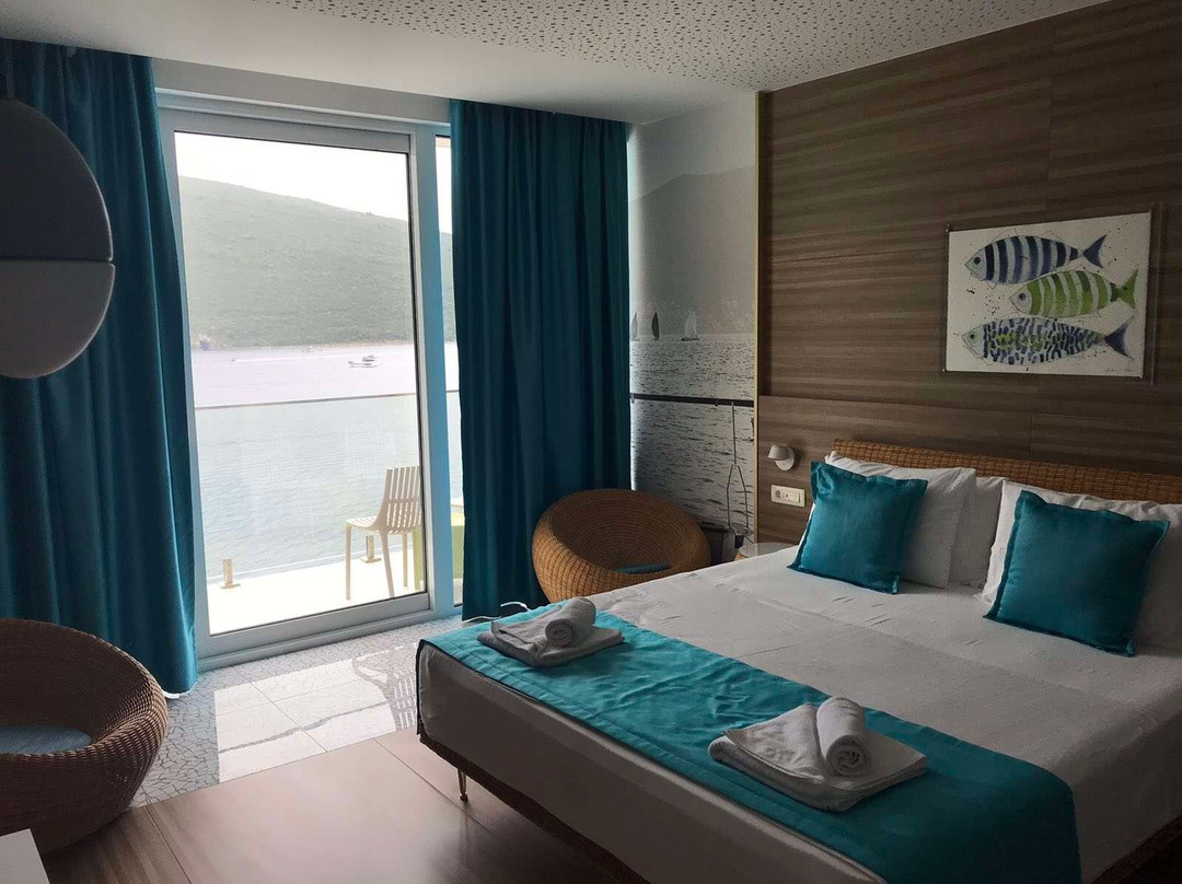 Carine Hotel Kumbor主图