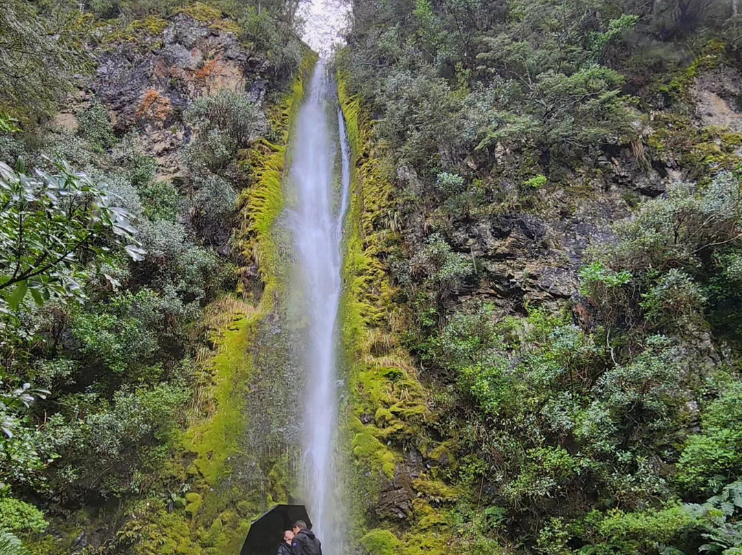 Dog Stream Waterfall景点图片