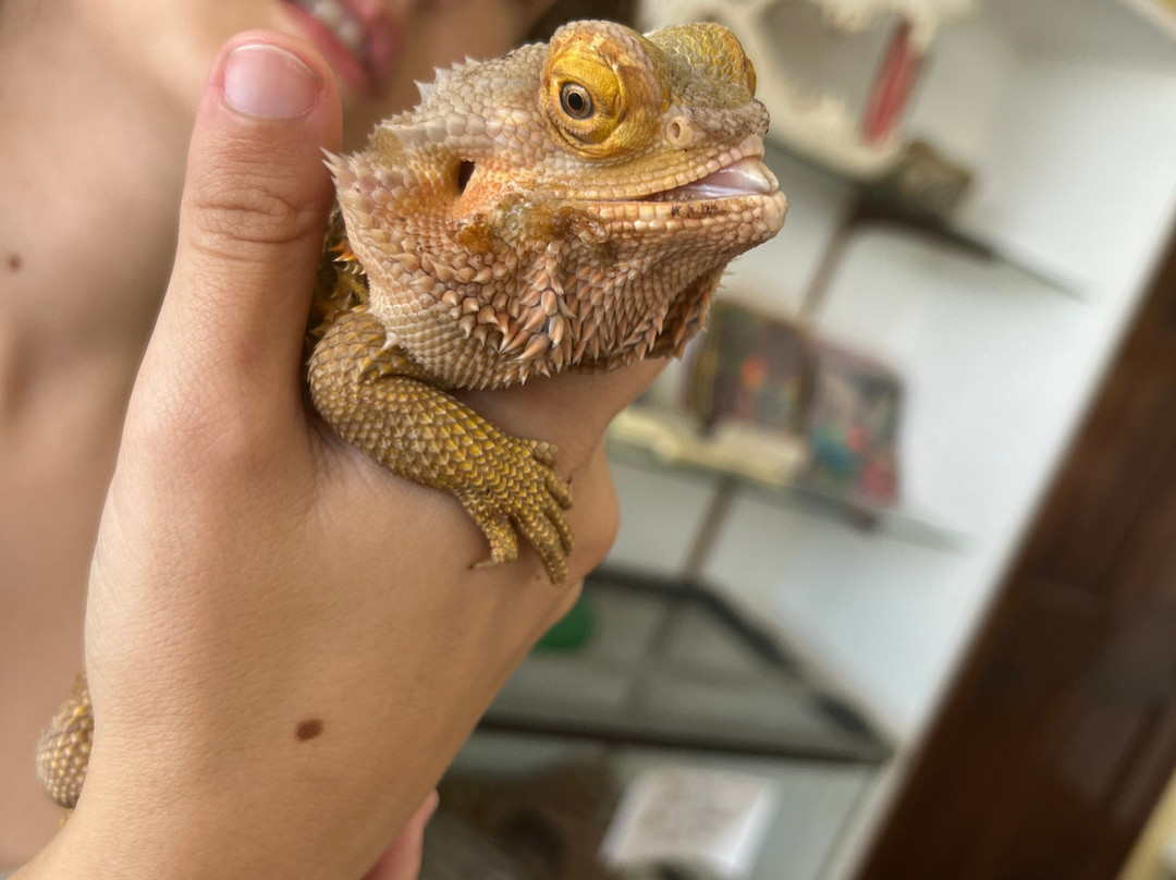 Reptile World Serpentarium-圣克劳德必去景点