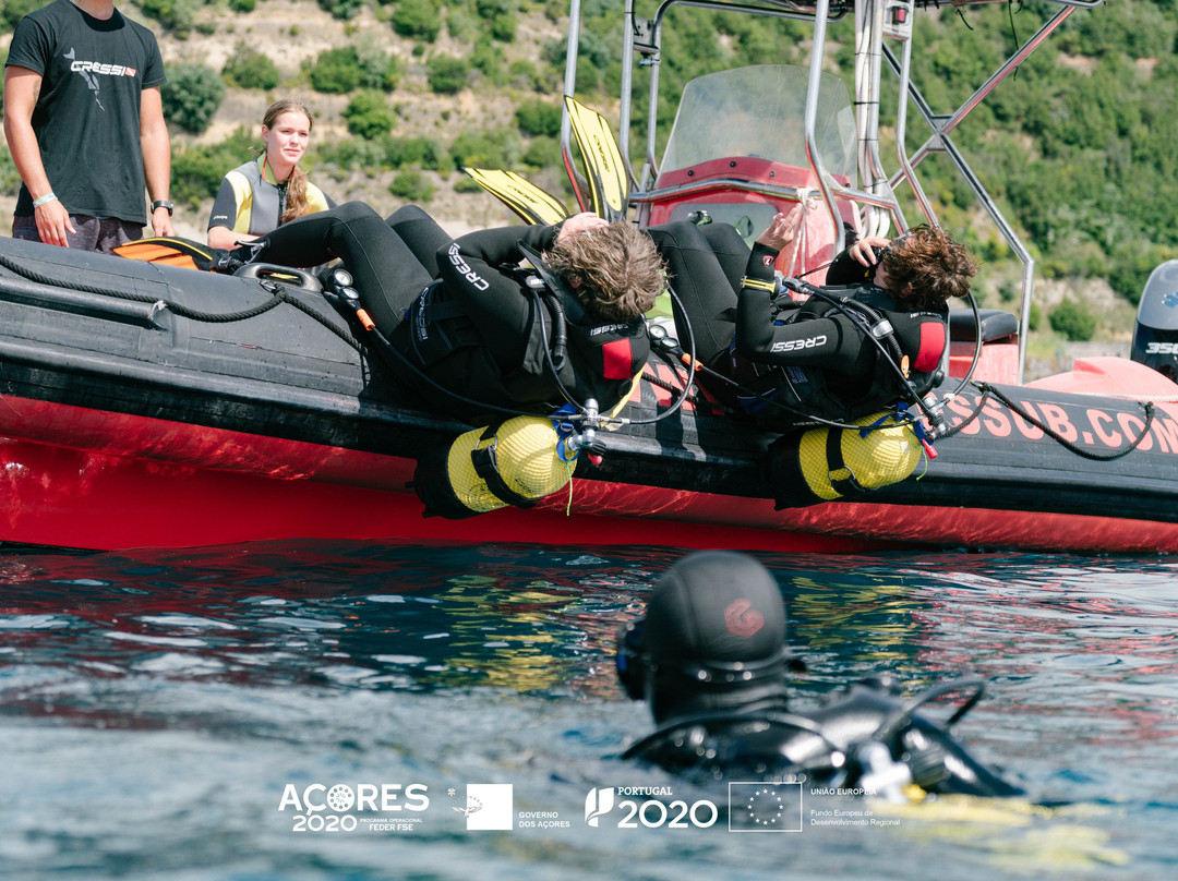 Azores Sub Dive Center-Vila Franca do Campo必去景点