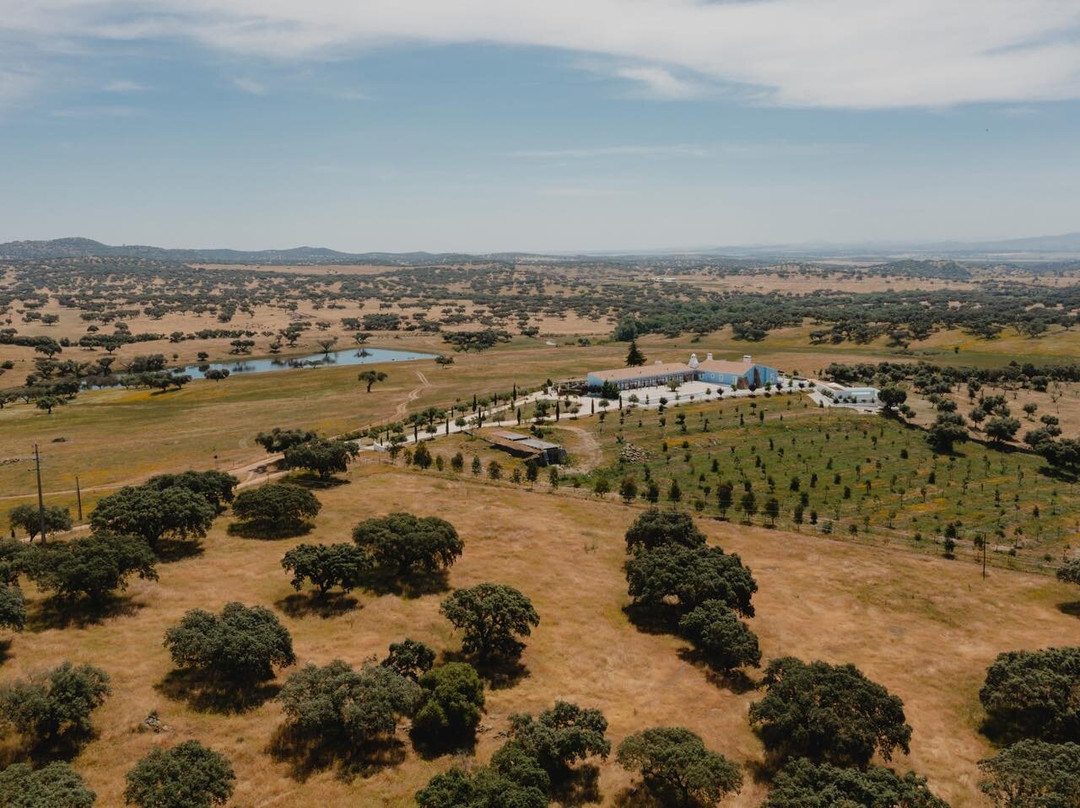 Monte Dos Cordeiros主图