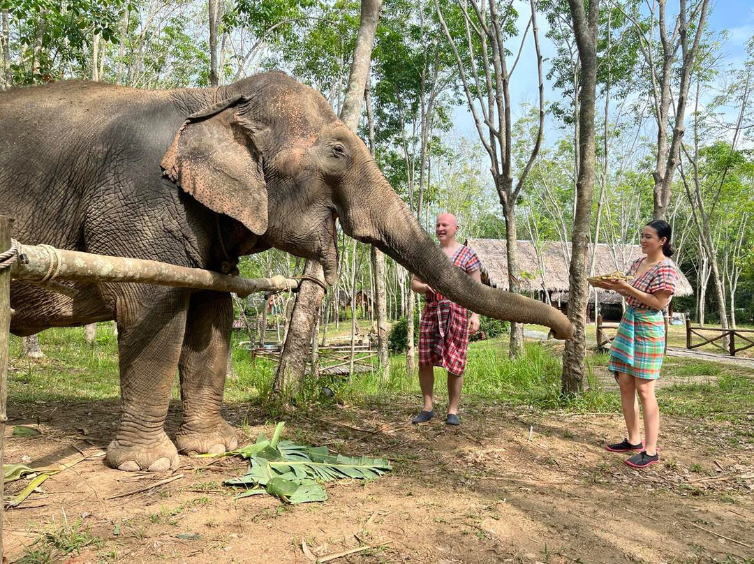 Koh Yao Elephant Care景点图片