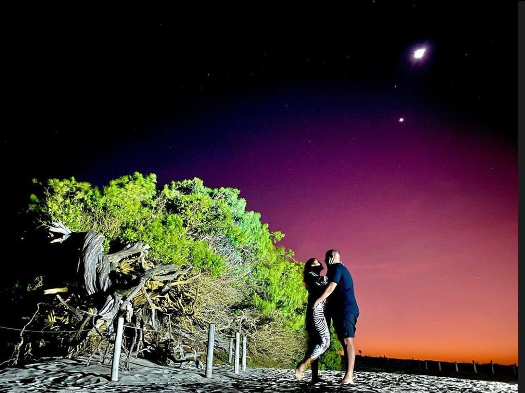 Árvore da Preguiça-杰里科科拉必去景点