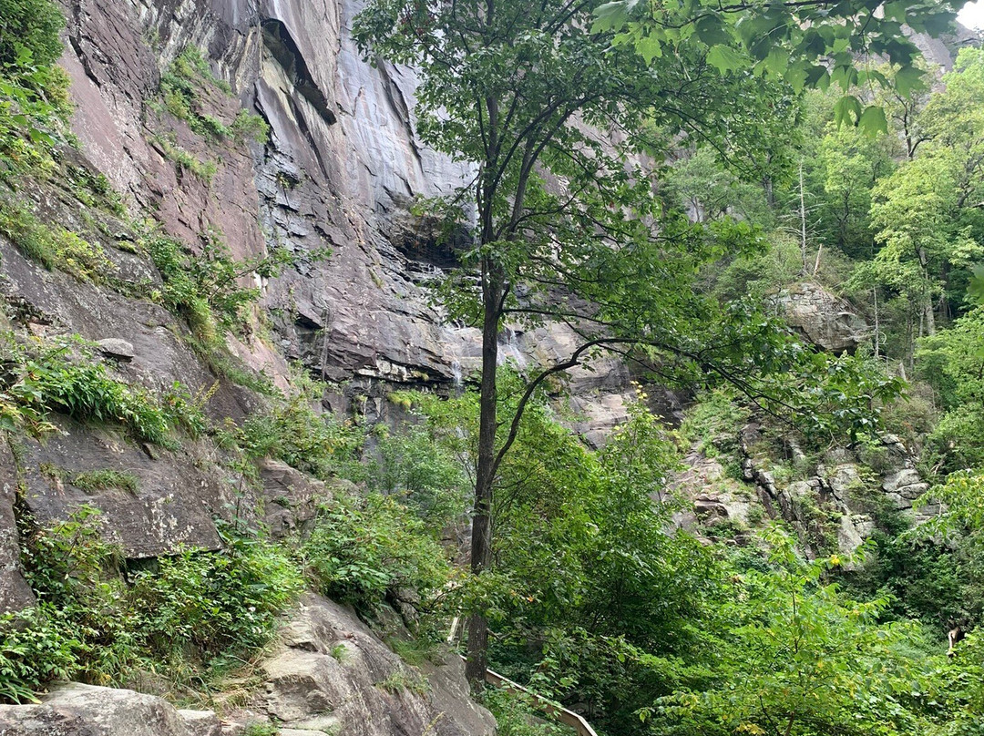 Chimney Rock State Park景点图片